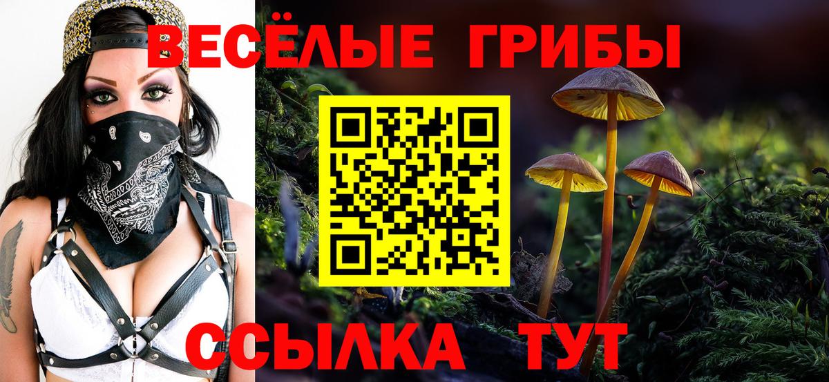 Галлюциногенные грибы Cubensis Лабинск