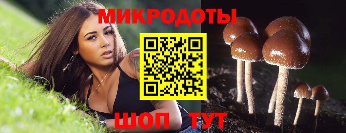 Лабинск  Галлюциногенные грибы GOLDEN TEACHER  Вход с VPN 